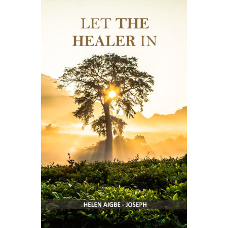 let the healer in - christian books