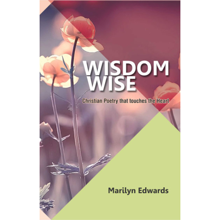 wisdom wise - christian books