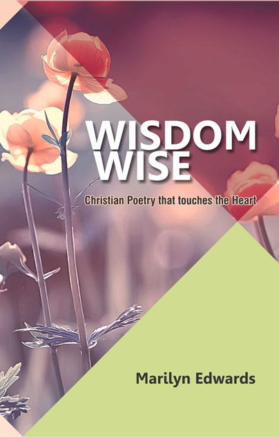 wisdom wise - christian books