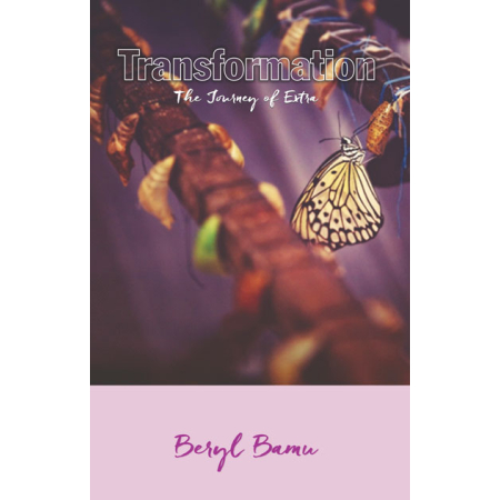 transformation the journey of extra - christian books