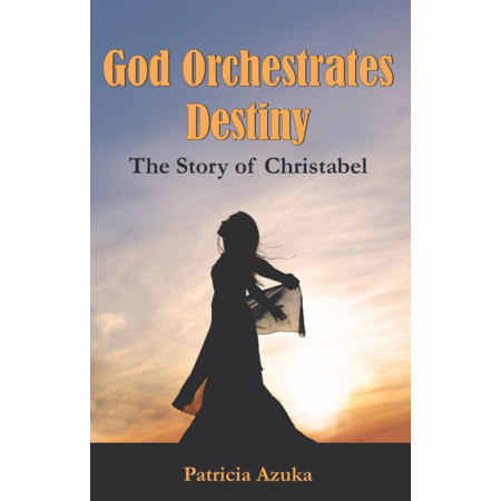 god of orchestrates destiny - christian books
