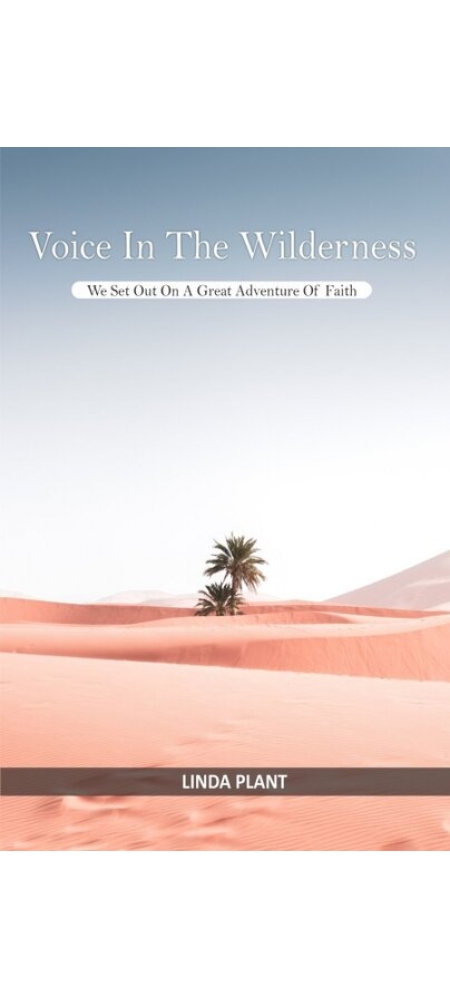 voice in the wilderness - christian books
