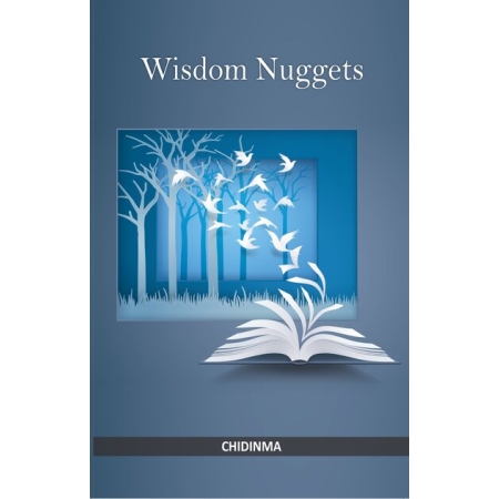 wisdom nuggets - christian books