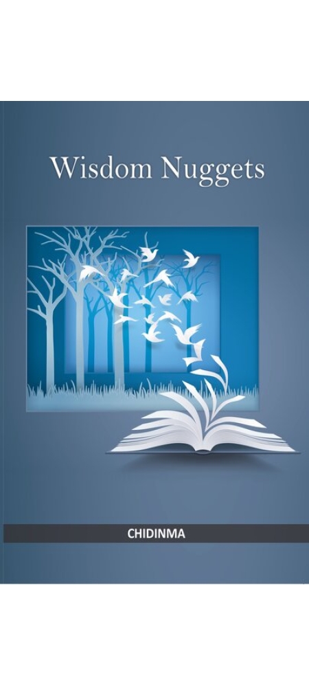 wisdom nuggets - christian books