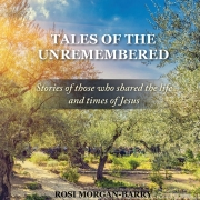 Tales of the unremembered - christian books