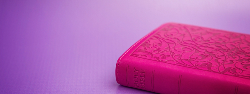 Pink NLV Bible